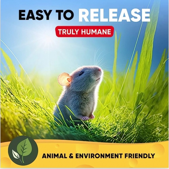 Humane Mouse Trap ~ Catch and Release ~ Alive Mouse Trap ~ No Kill Trap - Picture 6 of 10